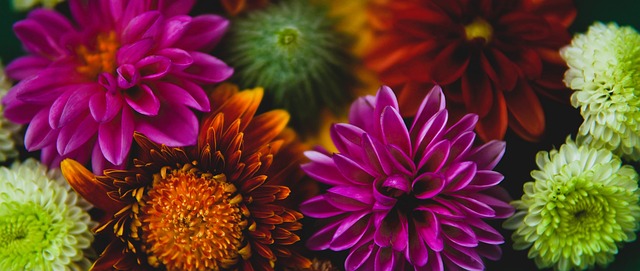 梅西：斯卡洛尼总是充满激情；阿根廷拥有很多非凡的球员